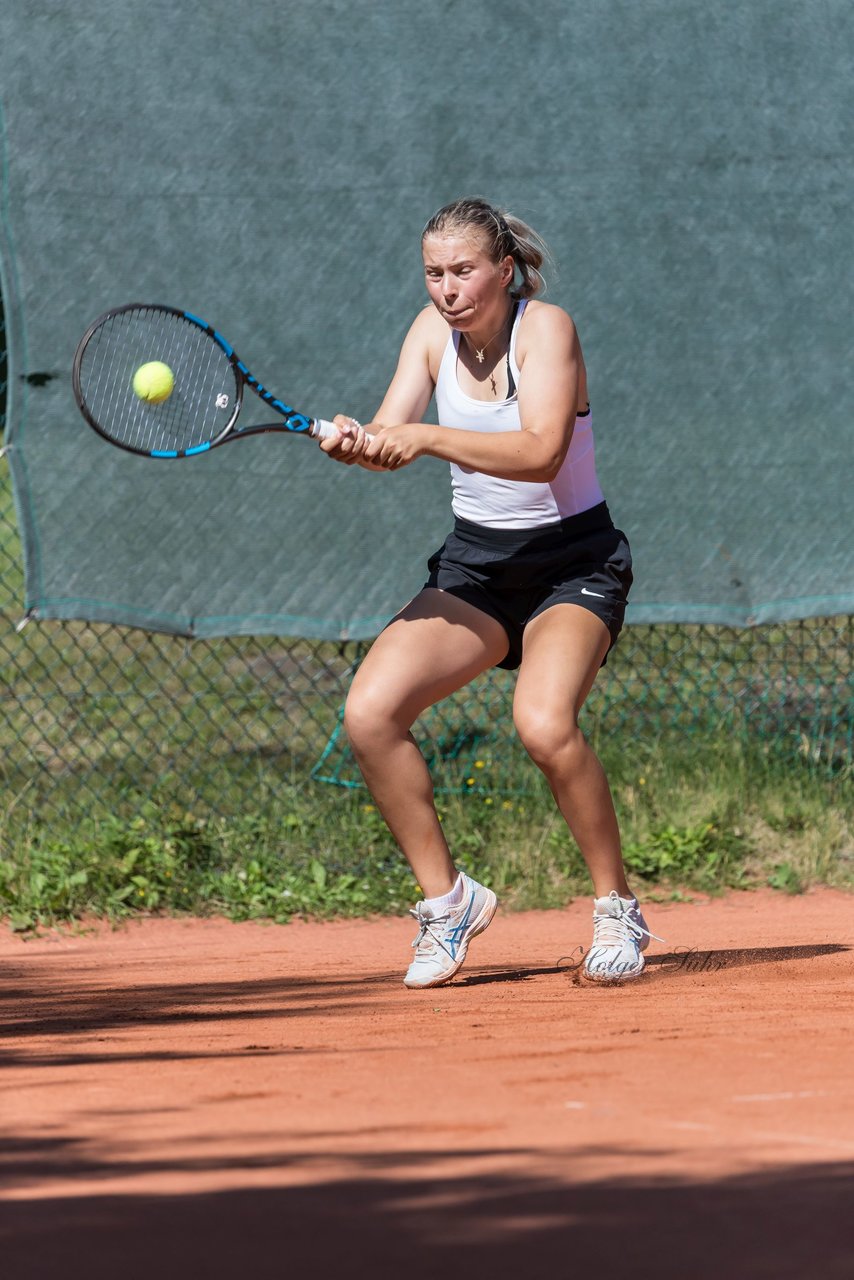 Bild 182 - Klippeldon